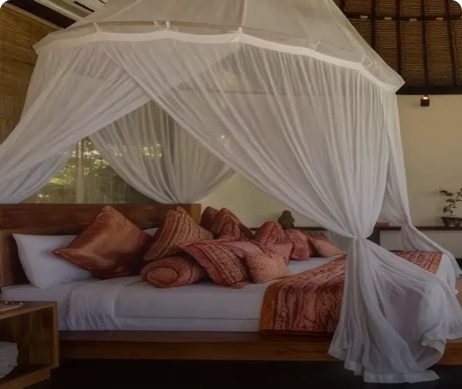 A canopy mosquito net draped over a made bed in a guest room